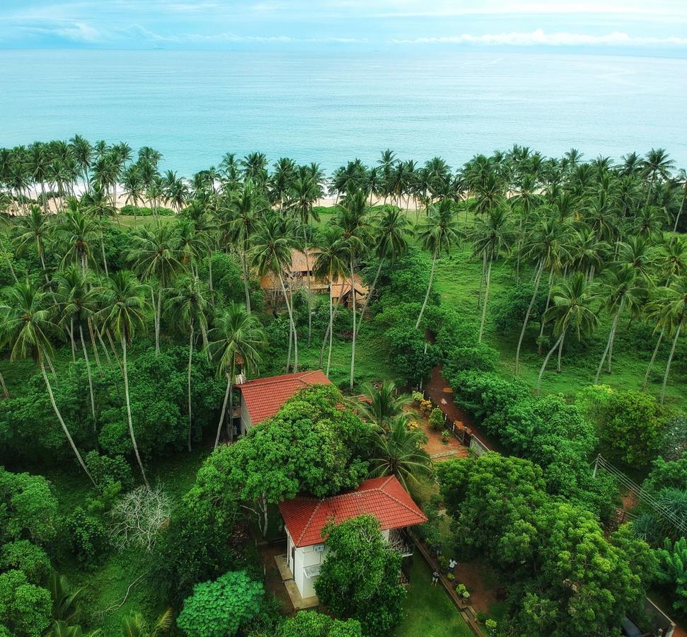 Green Turtle Tangalle Exterior foto